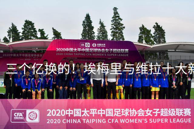 三个亿换的！埃梅里与维拉十大新援合影，今夏支出3亿收入3.6亿