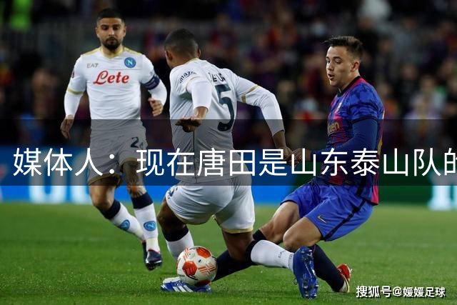 媒体人：现在唐田是山东泰山队的主教练，代理两个字已经取消了