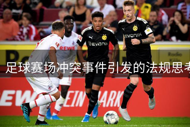 足球赛场冲突事件引发的法规思考